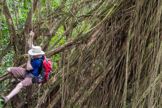 Secret Oahu Half Circle Island Tour With A Local Guide - Flexibility in Dining and Exploration