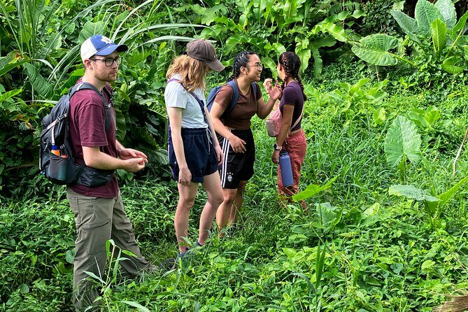 Secret Pool Hike Along the Kalinago Canoe Trail - Exploring the Itinerary in Detail