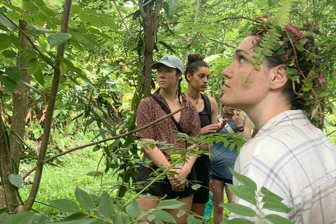 Secret Pool Hike Along the Kalinago Canoe Trail - Authenticity and Community Focus