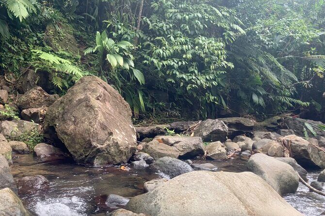 Secret Pool Hike Along the Kalinago Canoe Trail - The Sum Up