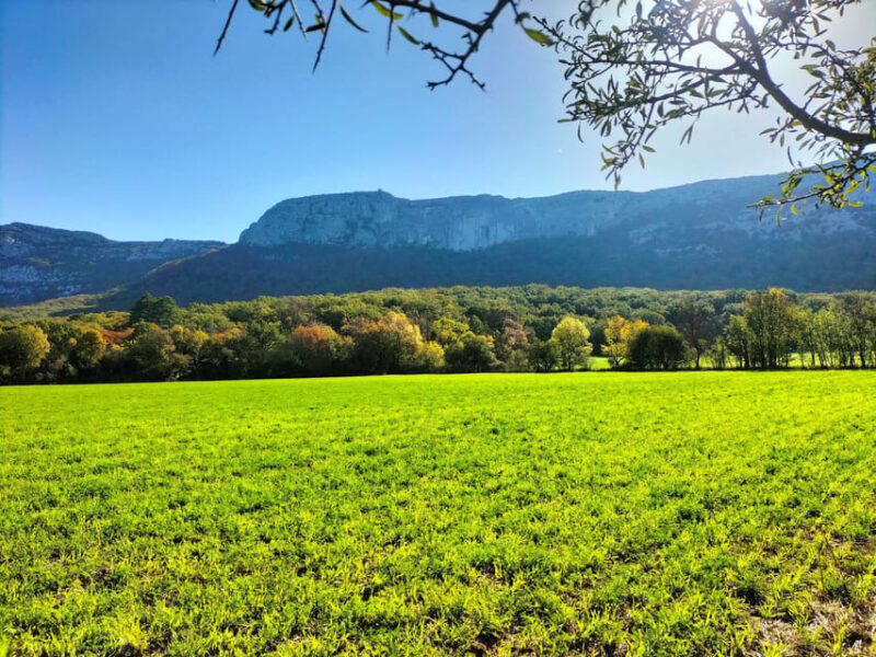 Secret Provence on Mary Magdalene's Path - Visiting Saint-Maximin-la-Sainte-Baume