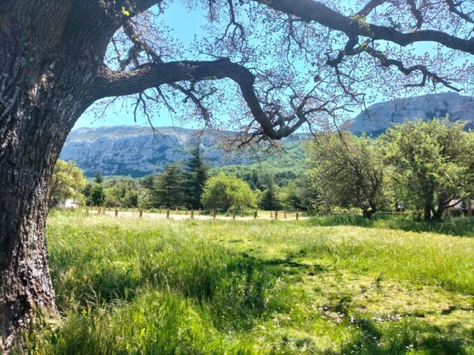 Secret Provence on Mary Magdalene's Path - What Customers Say About the Tour