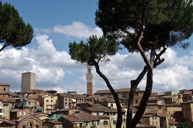 Secret Siena Walking Tour - Navigating Sienas Enchanting Alleyways