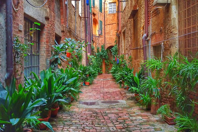 Secret Siena Walking Tour - Indulging in Sienas Culinary Delights