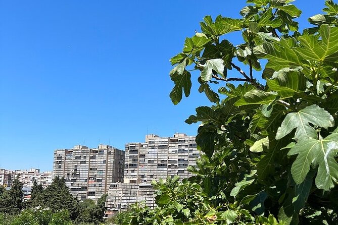 Secret Split: Socialist Architecture & Brutalism - Urban Utopia - Guided Tour Highlights