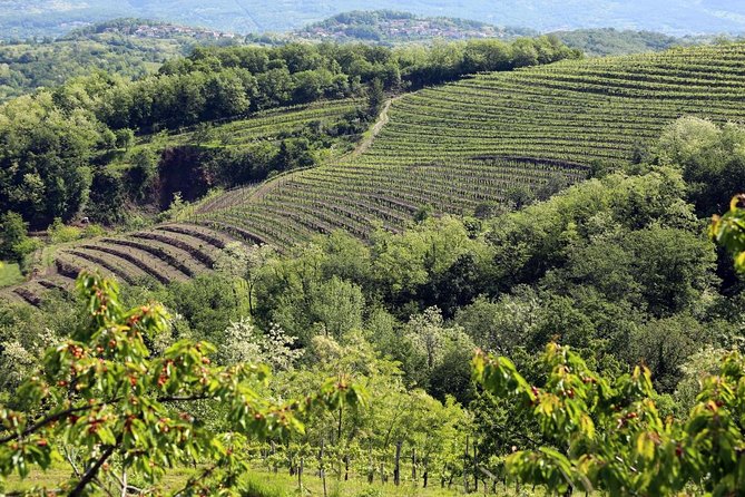 Secret Vineyards E-Bike Tour - Meeting Point and Logistics