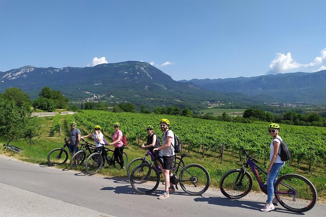 Secret Vineyards E-Bike Tour - Discovering Local History and Culture