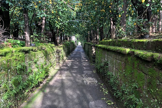 Secret Walks of Piano Di Sorrento - Fruit Market Square: A Final Stop