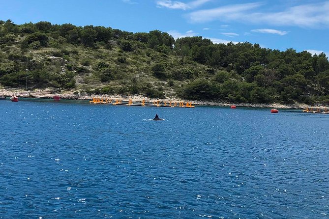 Secrets of Brac and Solta - Off the Beaten Track Croatia - Exploring Brac Island