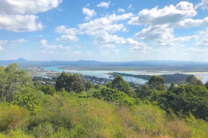 Secrets of Noosa Tour With Oceanview Lunch, Nature & Noosa River Ferry - Panoramic Views From Laguna Lookout
