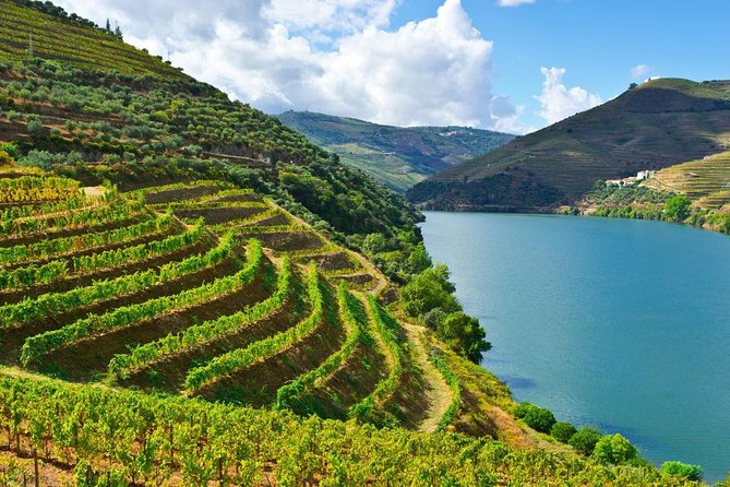 Secrets of Porto and Douro Valley With River Cruise - Taking in Port Wine Culture