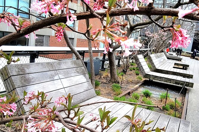 Secrets of the High Line - Architectural Marvels
