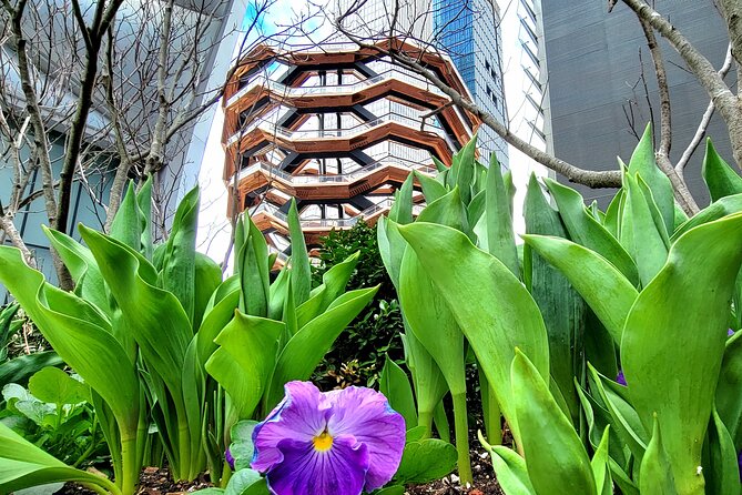 Secrets of the High Line - Navigating the Park