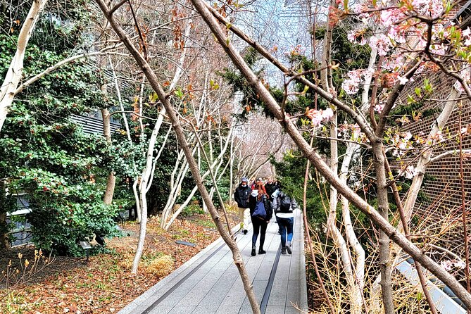 Secrets of the High Line - Practical Tips