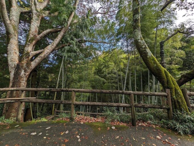 Secrets of Tokyo: Expert-Led Private Tour - FAQ