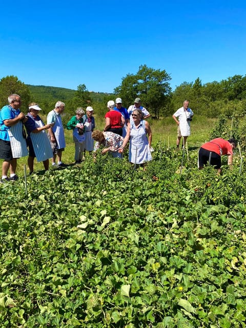 Secrets of Traditional Dalmatian Cuisine With Cooking Class - Good To Know