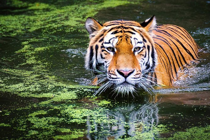 Secrets of Wild India Tour - Additional Information