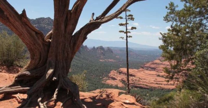 Sedona: 2-Hour Colorado Plateau Scenic Tour - Guided Narration