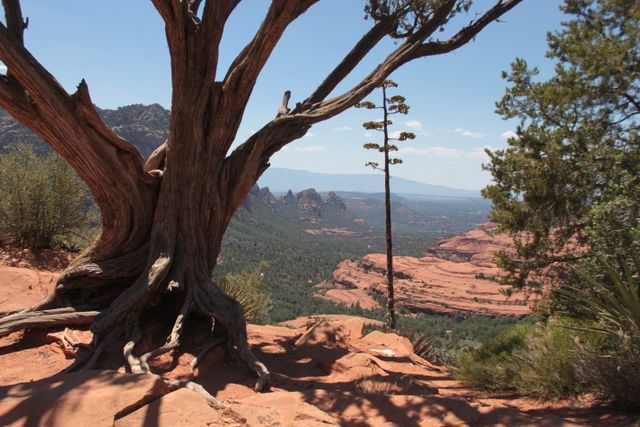 Sedona: 2-Hour Colorado Plateau Scenic Tour - Suitability and Seasonality