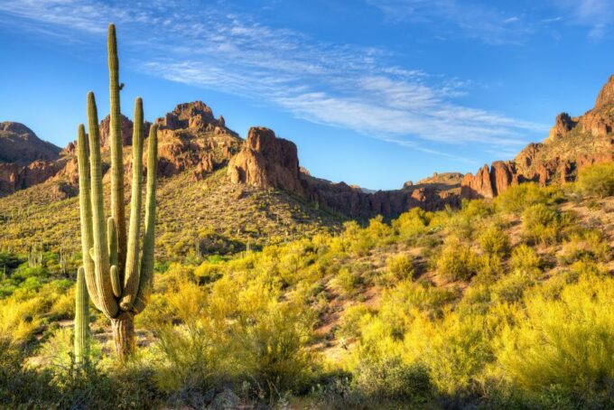 Sedona Day Trip: From Metro Phoenix / Scottsdale - Dining Experiences