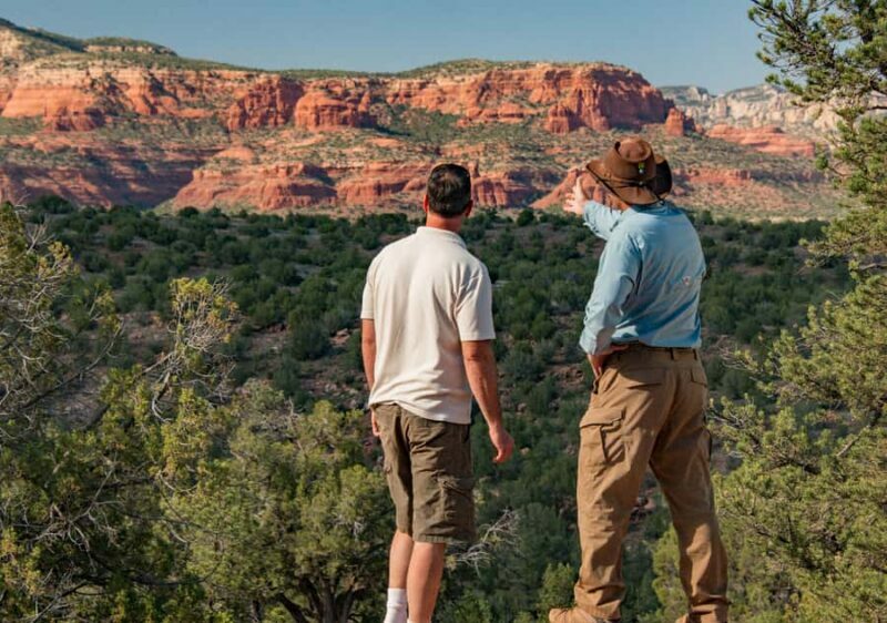 Sedona: Diamondback Gulch Pink Jeep Tour - An Overview of the Sedona: Diamondback Gulch Pink Jeep Tour
