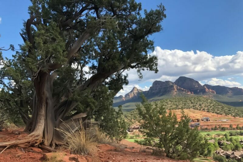 Sedona: Guided Vortex Jeep Tour - Final Thoughts