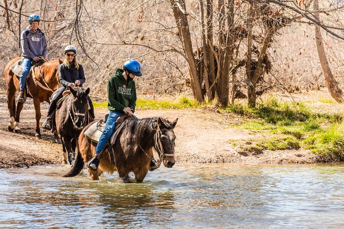 Sedona Horseback Rides at Dead Horse Ranch With River Crossing - Meeting and Pickup
