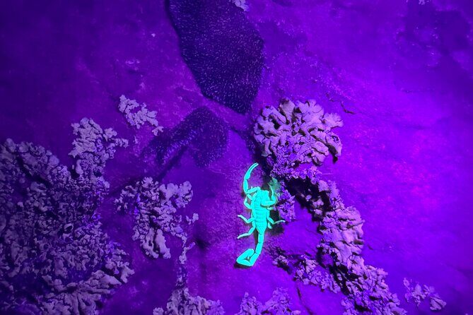 Sedona Night Hike and Stargazing - Introduction: A Nighttime Adventure in Sedona