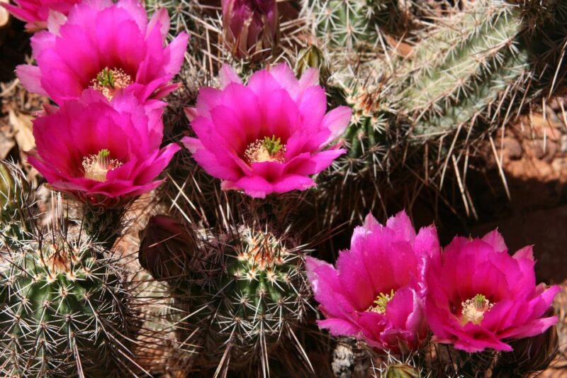 Sedona: PRIVATE Pavement 2-Hour Highlights Jeep Tour - Key Points