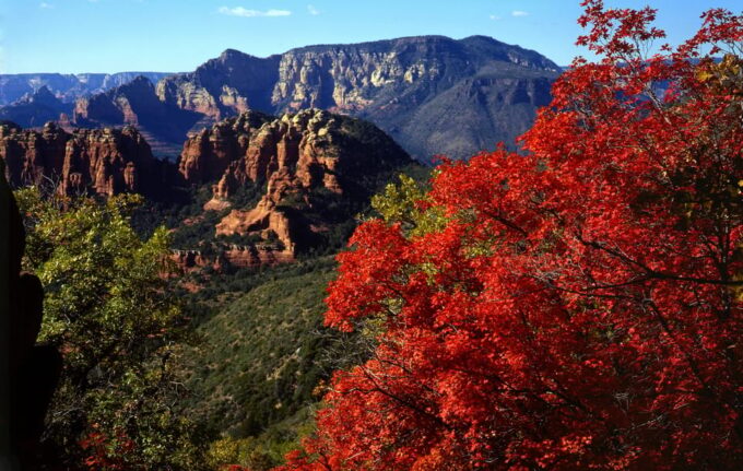 Sedona: PRIVATE Pavement 2-Hour Highlights Jeep Tour - Panoramic Sedona Views
