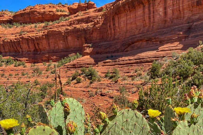 Sedona Sacred Canyons Loop Hike With a Private Guide - Tour Details