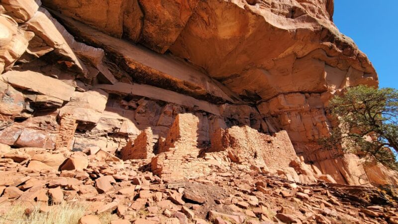 Sedona: The Scientific and Spiritual Vortex Tour - Exploring Sedonas Vortices
