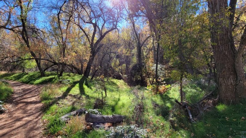 Sedona: The Scientific and Spiritual Vortex Tour - Geological Wonders