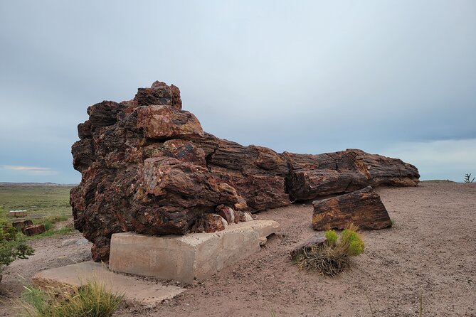 Sedona to Petrified Forest/Painted Desert Adventure PRIVATE TOUR! - Walnut Canyon Cliff Dwellings