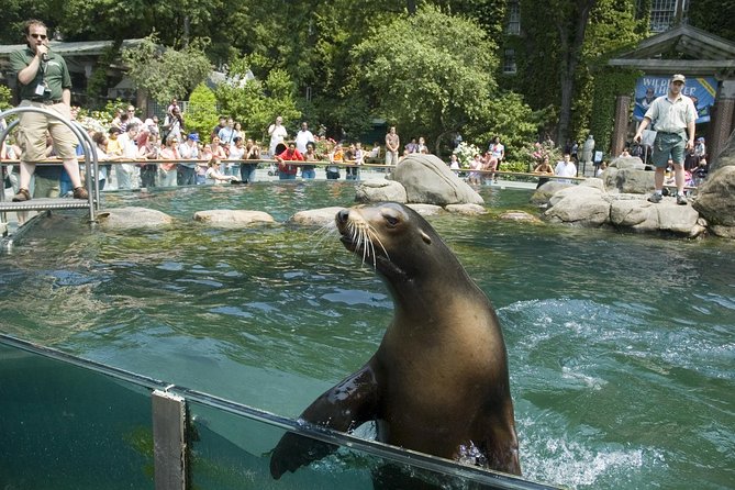 See 30 Top New York Sights (Walking Tour) & Visit Central Park Zoo. - Central Park Zoo Experience
