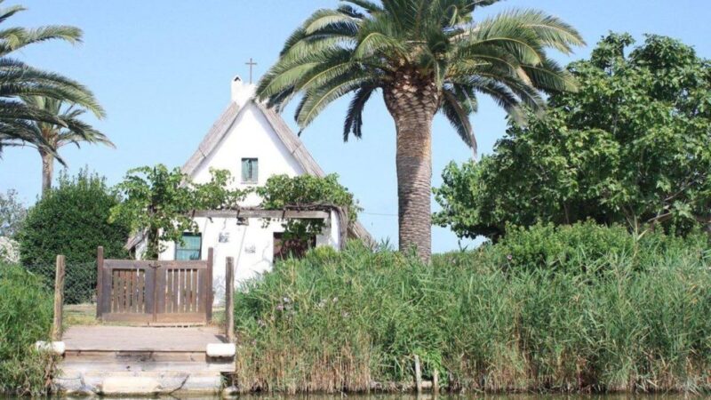 See Albufera Lake +City of Arts and Sciences on a Bike Tour - Key Points
