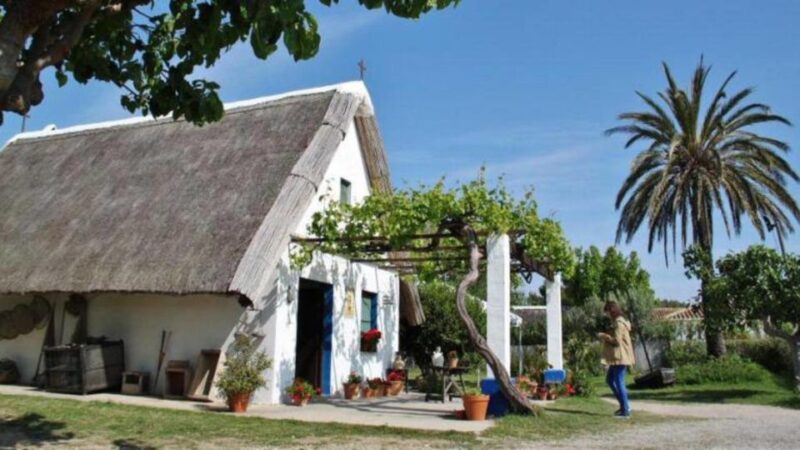 See Albufera Lake +City of Arts and Sciences on a Bike Tour - Exploring the City of Arts and Sciences