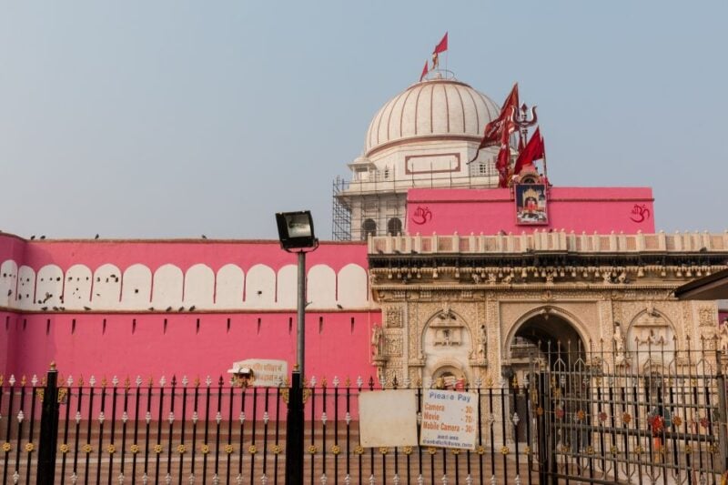 See Camel Centre, Rat Temple From Jodhpur With Bikaner Drop - Camel Breeding Center