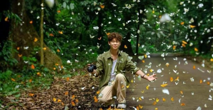 See Fireflies & Wild Animals in Cuc Phuong National Park - Booking and Availability Details