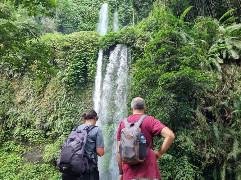 See The Stunning View Of Selong Hill and Tiu Kelep Waterfall - Key Points
