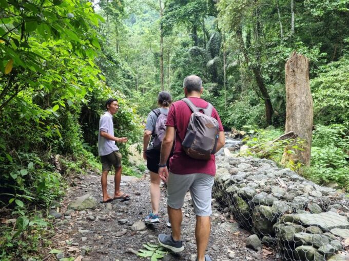 See The Stunning View Of Selong Hill and Tiu Kelep Waterfall - Tiu Kelep Waterfall Experience