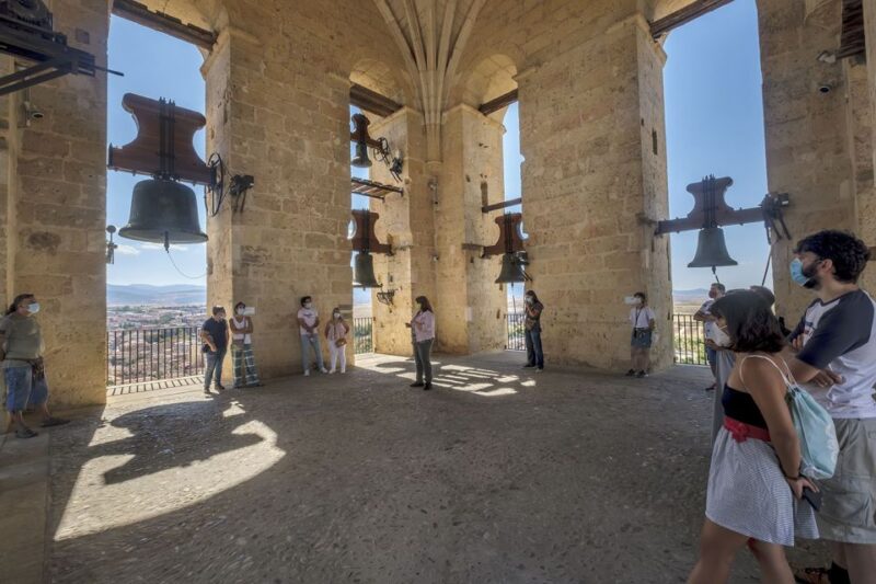 Segovia: Cathedral Tower Guided Tour - Tour Experience Highlights