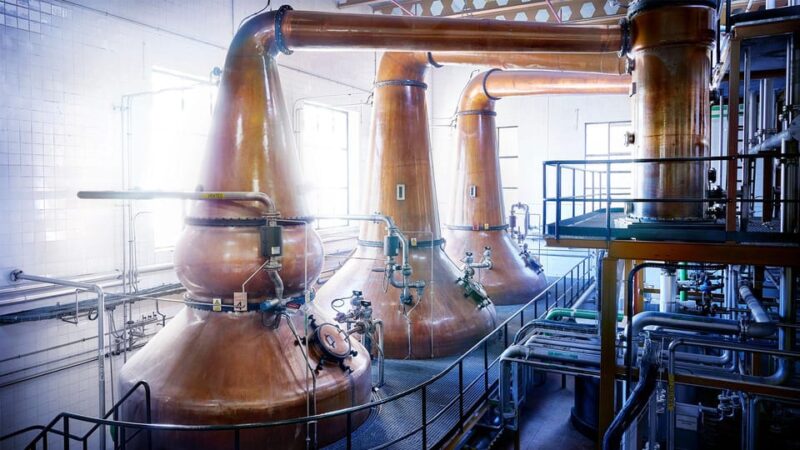 Segovia: DYC Distillery Guided Visit With Whiskey Tasting - Key Points