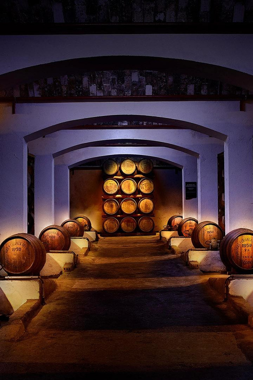 Segovia: DYC Distillery Guided Visit With Whiskey Tasting - Exclusive Shopping Opportunities