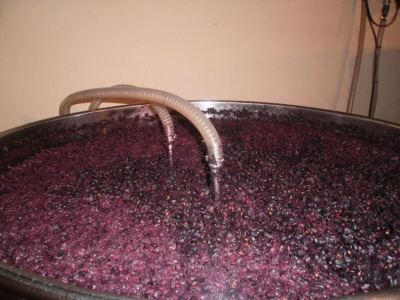 Segovia: Winery Tour With Wine Tasting - Key Points