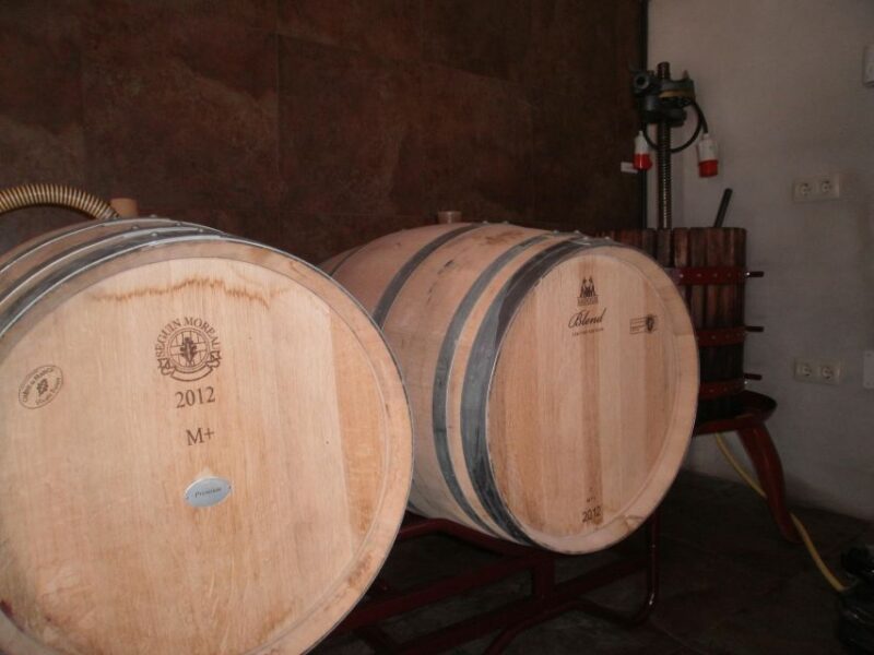 Segovia: Winery Tour With Wine Tasting - Winery Highlights