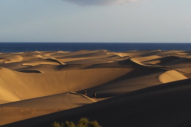 Segway Experience 1 Hour Sightseeing Tour : Visit Maspalomas Dunes, Playa Ingles - Participant Requirements