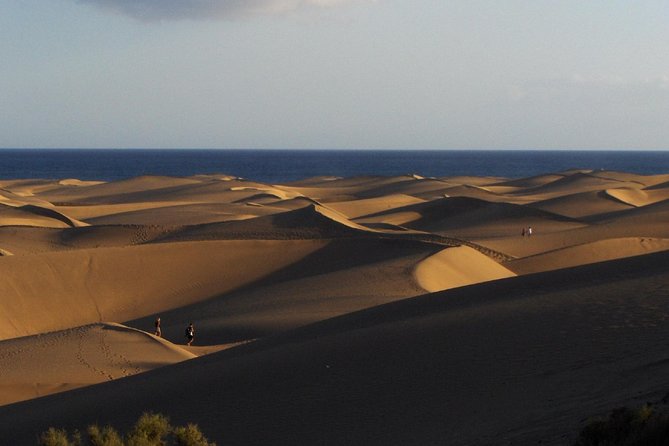 Segway Sunset or Morning Experience: Maspalomas Dunes, S. Agustin - Safety Considerations