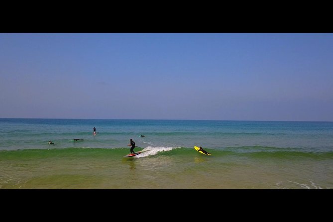 Segway Surf and Oysters! - Oyster Tasting