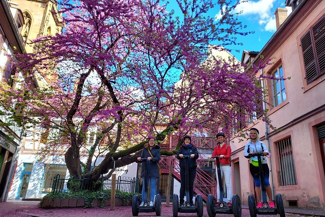 Segway Tours 2h in Colmar - Tour Ending